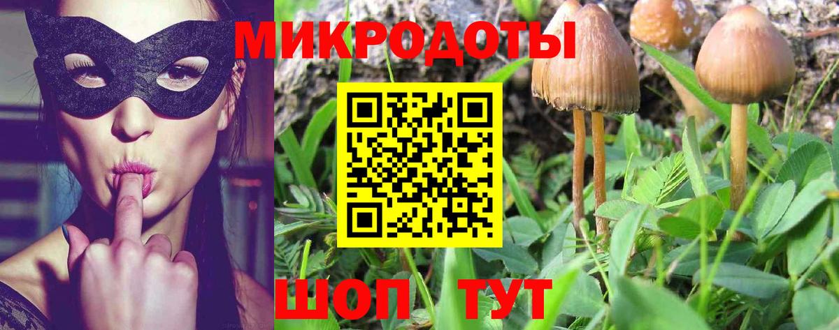 Псилоцибиновые грибы прущие грибы Ишимбай