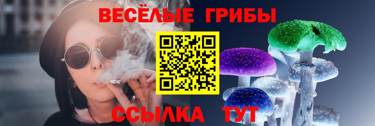 Галлюциногенные грибы мицелий  Вход с VPN  даркнет сайт  Галлюциногенные грибы прущие грибы  Ишимбай 